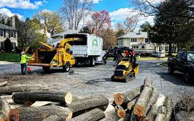 How Our Tree Care Process Works  in  Lake Camelot, WI